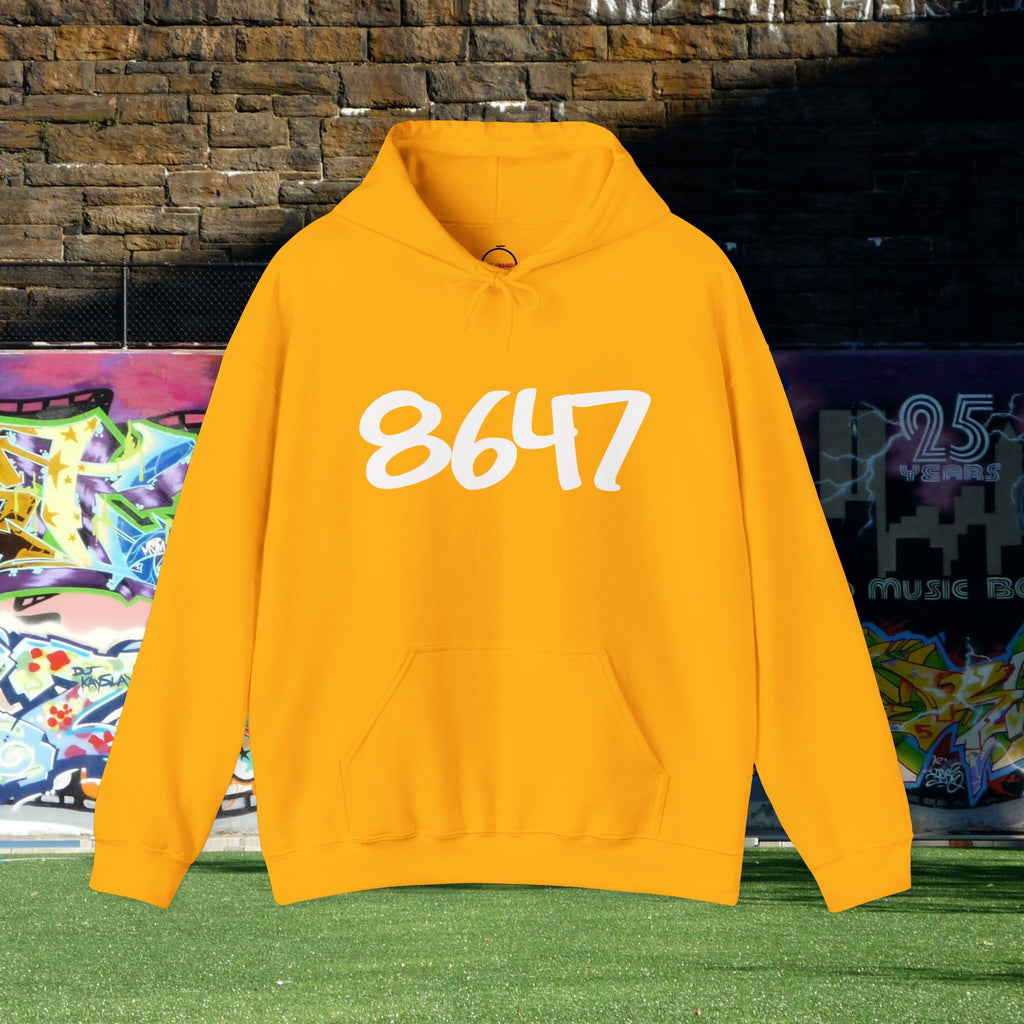8647 Hoodie
